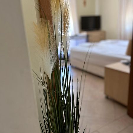 Quiet Apartment With Big Terrace In Santa Marina With Parking Szozopol Kültér fotó