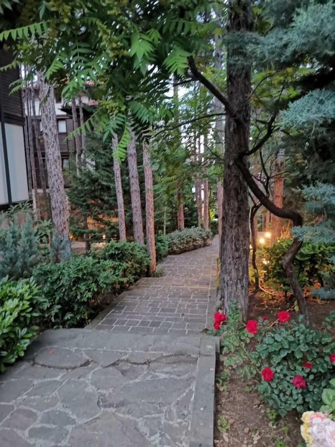 Quiet Apartment With Big Terrace In Santa Marina With Parking Szozopol Kültér fotó